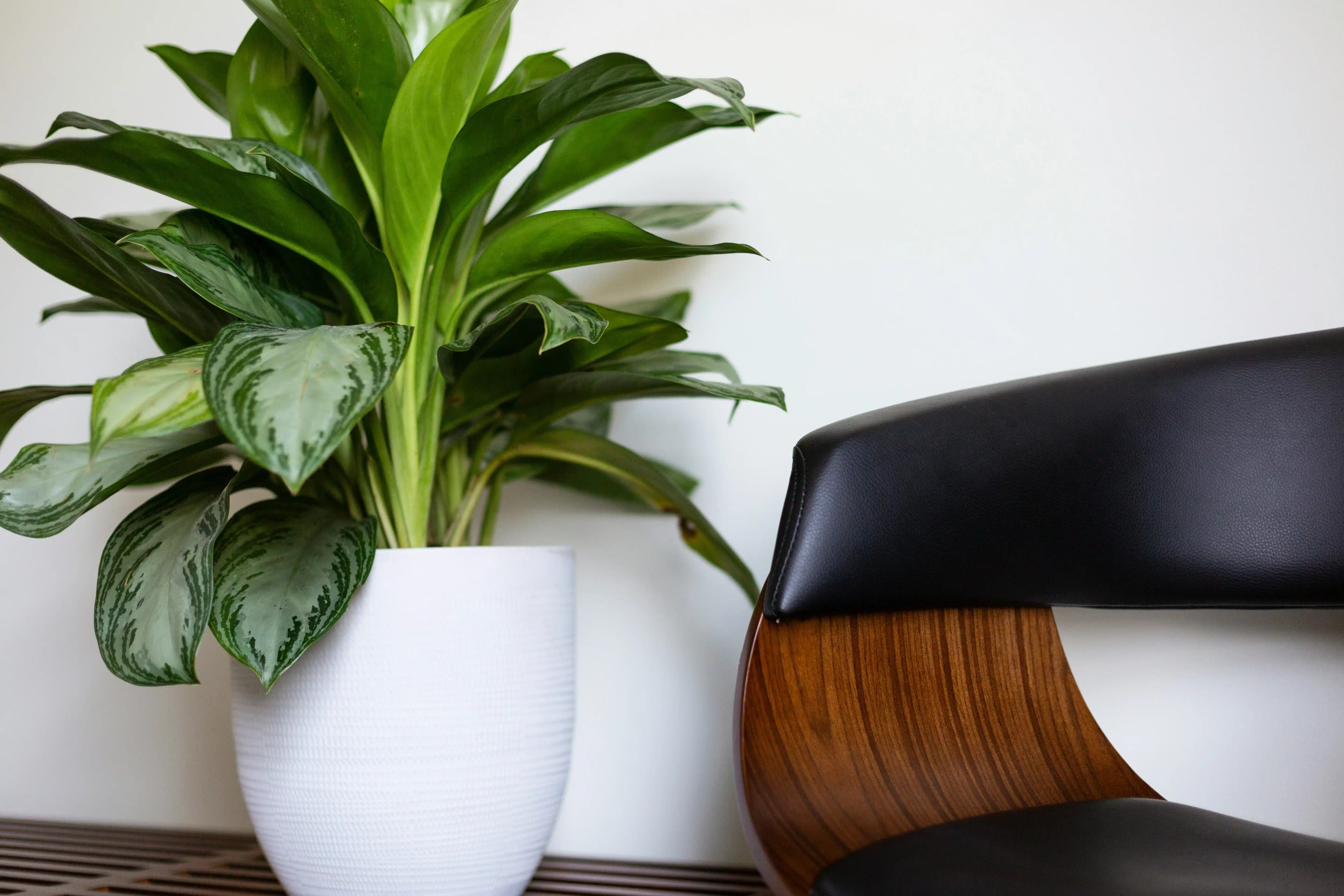 A Logo Isn't Your Brand—Here's What Really Matters